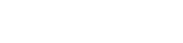 Nickel Up Logo